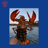 Jumbo Select Maine Lobsters (2.50-2.75 lbs)